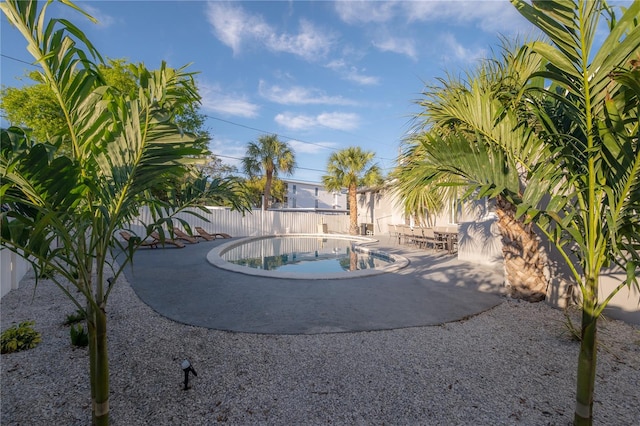 view of swimming pool featuring a patio