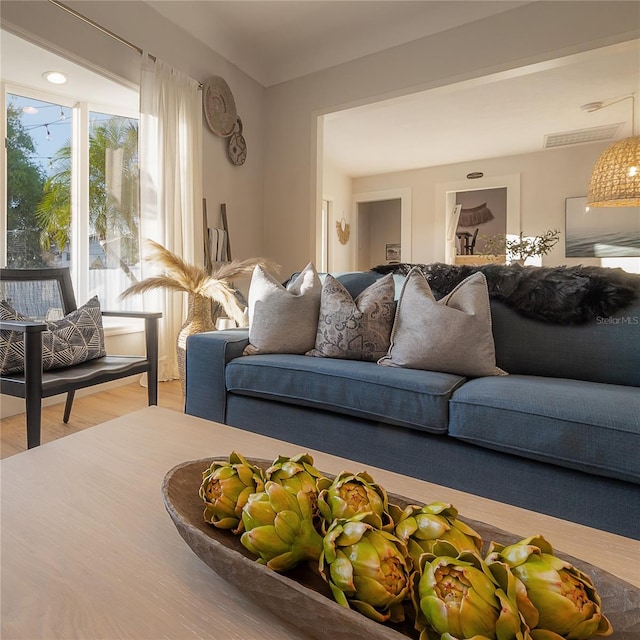 living room with hardwood / wood-style flooring