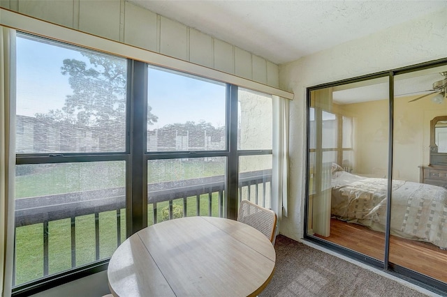 sunroom / solarium with ceiling fan