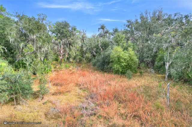 0 E Keysville Rd, Lithia FL, 33547 land for sale