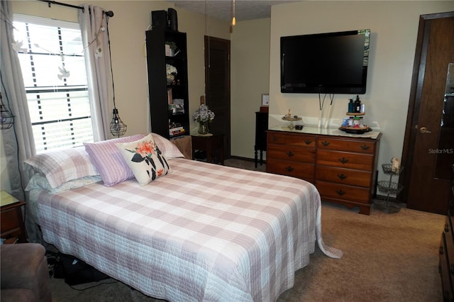 carpeted bedroom with multiple windows