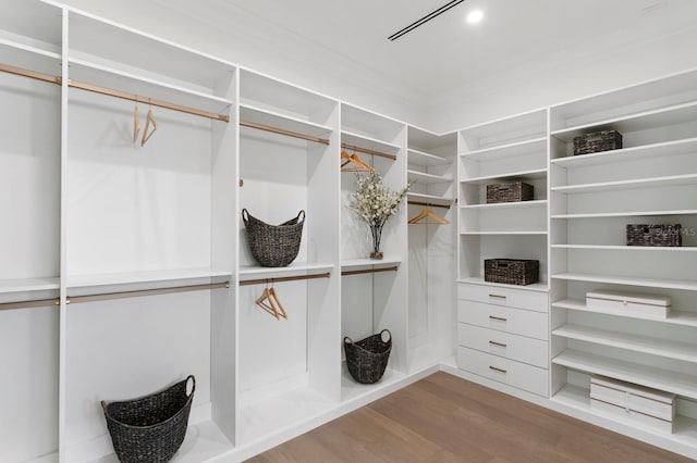 walk in closet with hardwood / wood-style floors