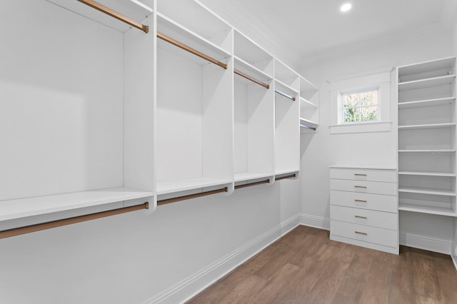 walk in closet featuring dark wood-type flooring