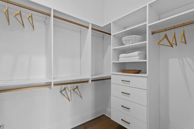 walk in closet featuring dark hardwood / wood-style floors