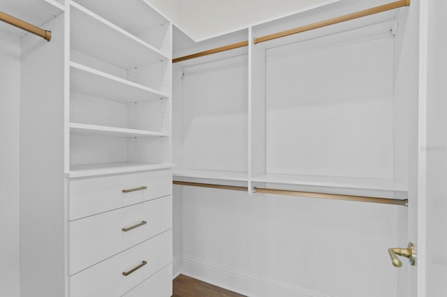 spacious closet featuring dark wood-type flooring