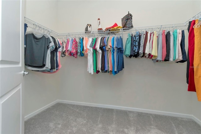 spacious closet featuring carpet flooring