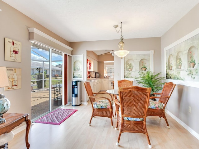 dining space with light hardwood / wood-style floors and ceiling fan