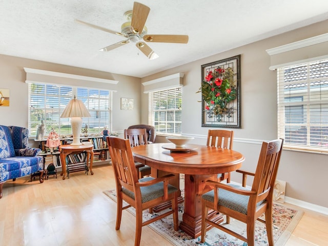 dining room with ceiling fan, light wood-type flooring, and a wealth of natural light