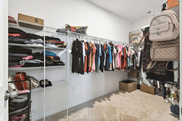 spacious closet with carpet floors