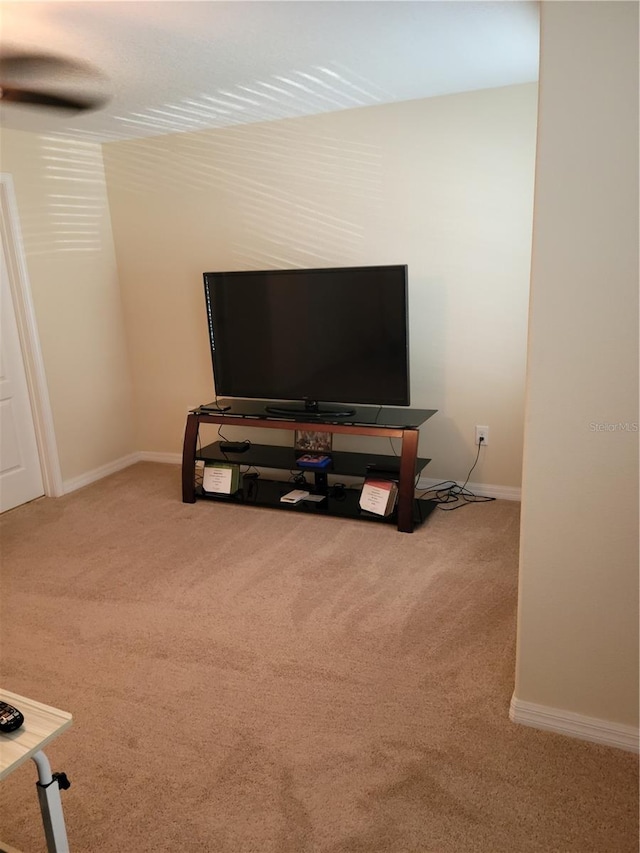 living room featuring light carpet