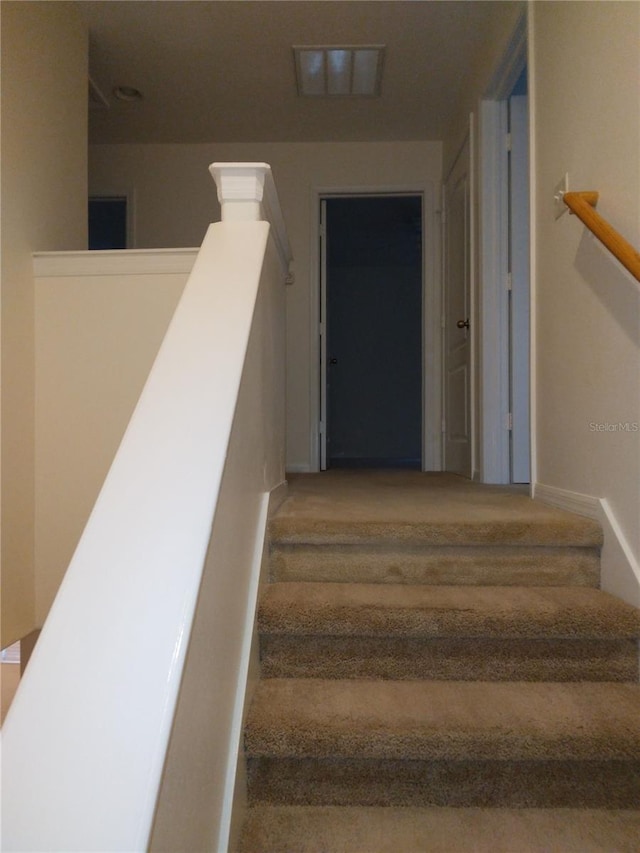 stairs with carpet flooring