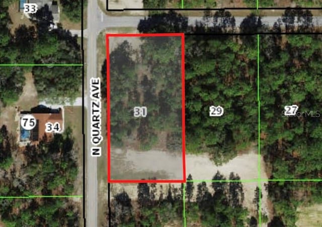 1936 W Tacoma St, Hernando FL, 34442 land for sale