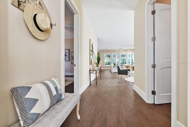 corridor featuring dark wood-type flooring