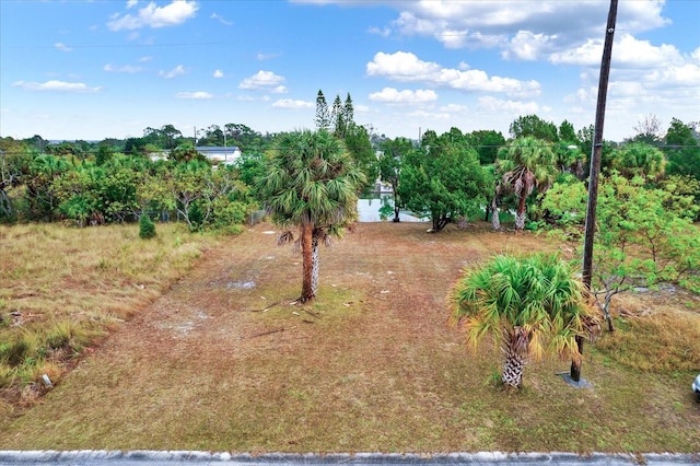 3202 Rose Arbor Dr, Hernando Beach FL, 34607 land for sale