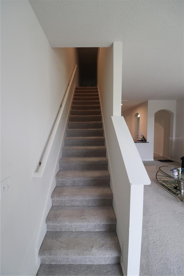 stairway featuring carpet floors