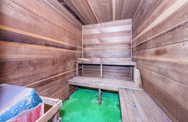 view of sauna / steam room featuring wooden walls and wood ceiling