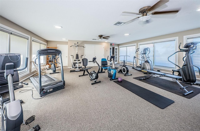 workout area featuring ceiling fan and carpet