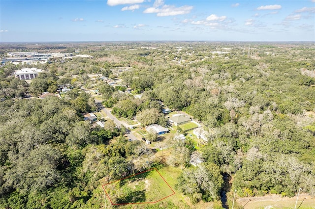 7302 Mount Vernon Rd, Tampa FL, 33625 land for sale