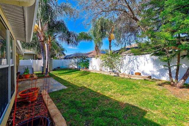 view of yard featuring a patio area