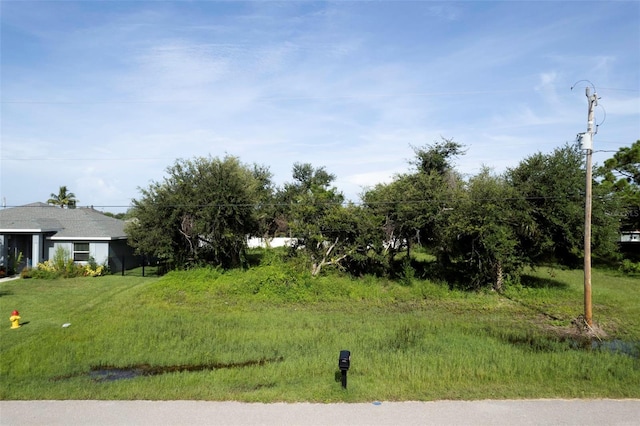 1502 SW 19th Ave, Cape Coral, FL 33991 - photo 4