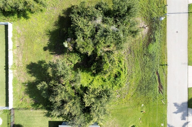 1502 SW 19th Ave, Cape Coral, FL 33991 - photo 12