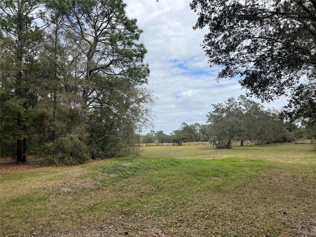8615 Kenton Rd, Wesley Chapel, FL 33545 - photo 15