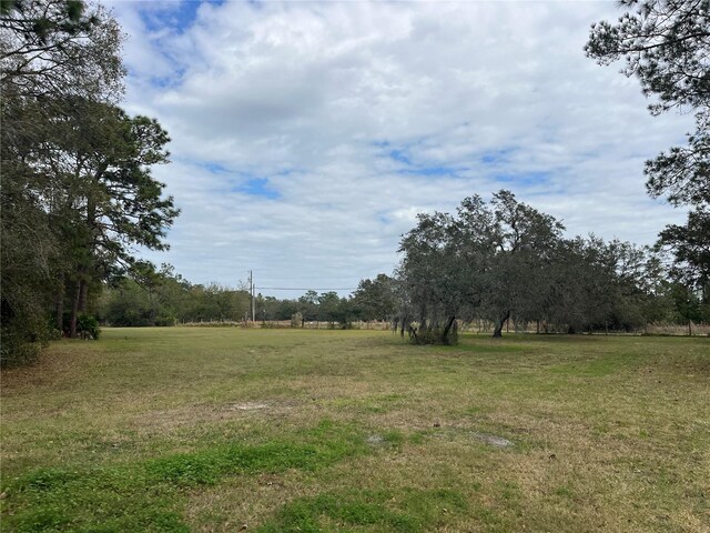 8615 Kenton Rd, Wesley Chapel, FL 33545 - photo 17