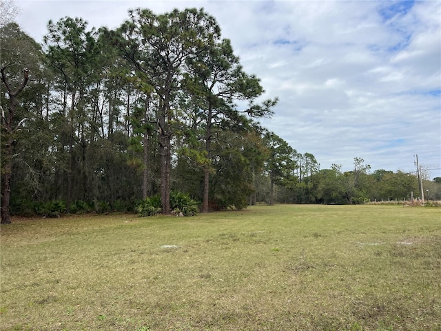 8615 Kenton Rd, Wesley Chapel, FL 33545 - photo 18