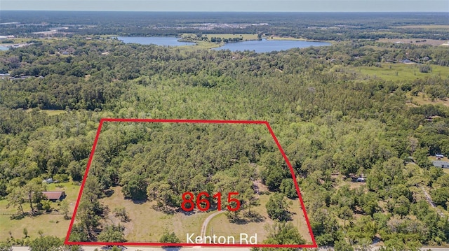 8615 Kenton Rd, Wesley Chapel, FL 33545 - photo 3