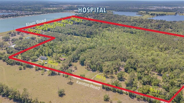 8615 Kenton Rd, Wesley Chapel, FL 33545 - photo 4