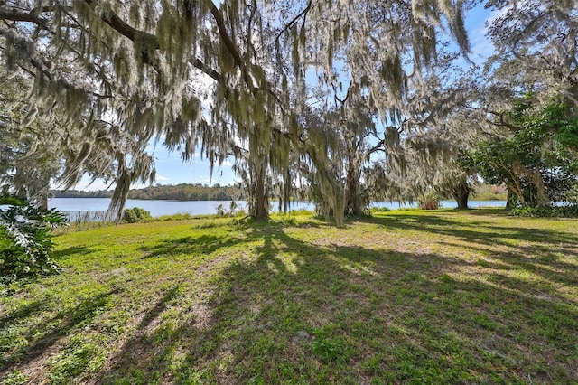 view of yard featuring a water view