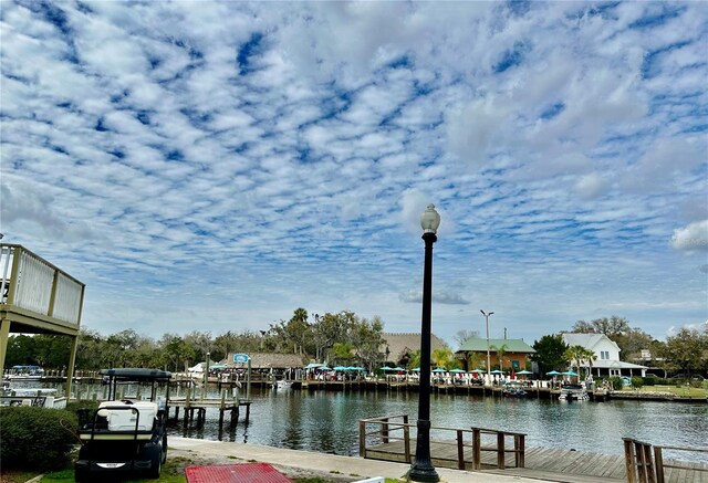 dock area featuring a water view