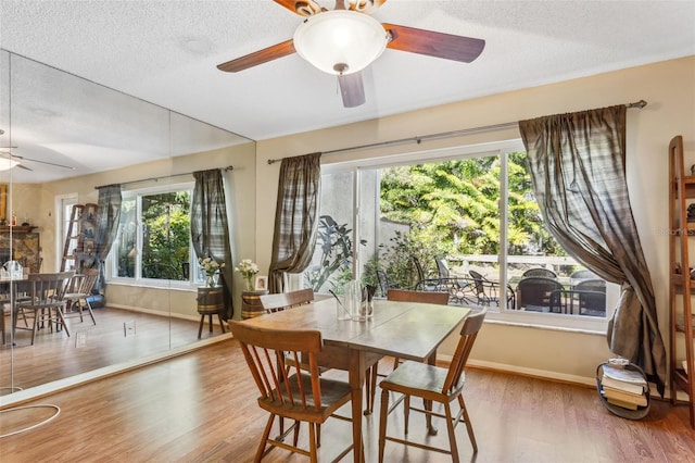 dining room featuring a healthy amount of sunlight, a textured ceiling, ceiling fan, and light wood-type flooring