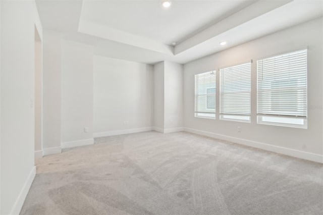 spare room with light colored carpet and a raised ceiling