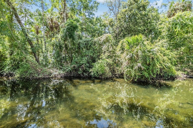 view of local wilderness featuring a water view