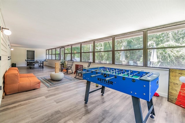 game room with hardwood / wood-style flooring