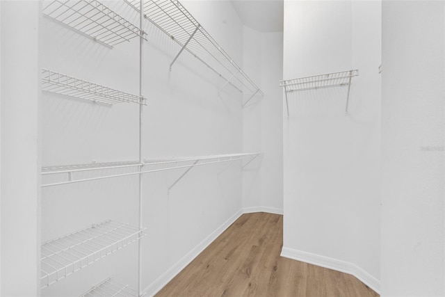 spacious closet featuring light hardwood / wood-style flooring