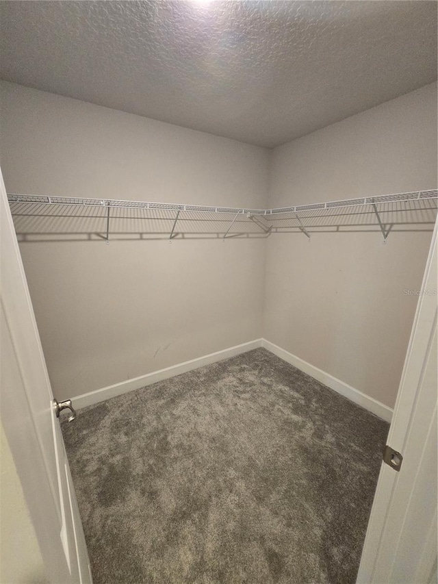 spacious closet with carpet flooring