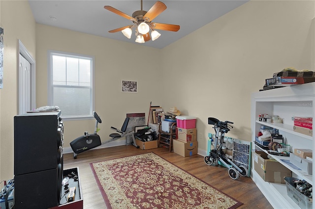 office area featuring ceiling fan and light wood-type flooring