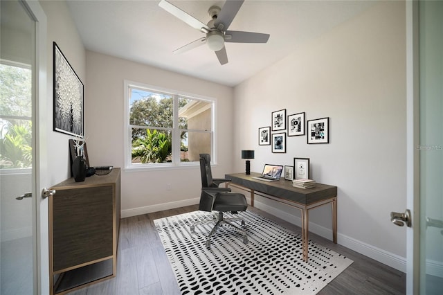 office with ceiling fan and dark hardwood / wood-style floors