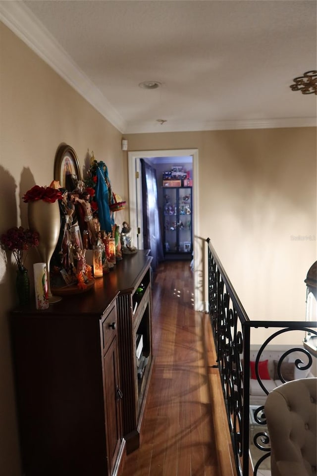 corridor featuring dark wood-type flooring and crown molding