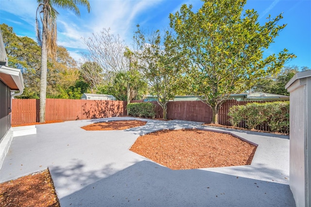 view of yard featuring a patio area