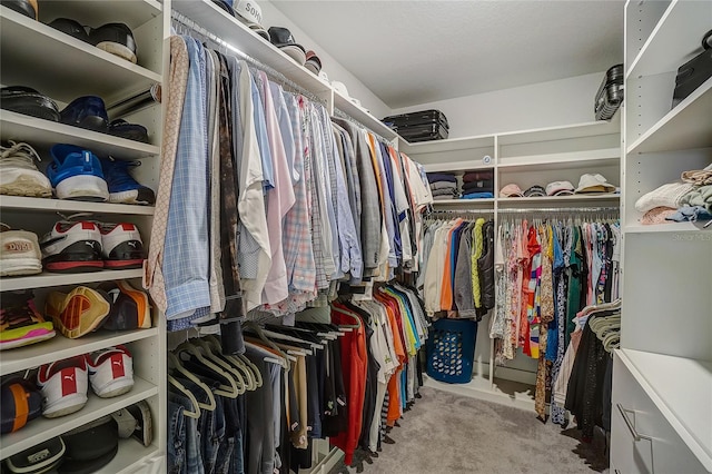 walk in closet featuring carpet floors