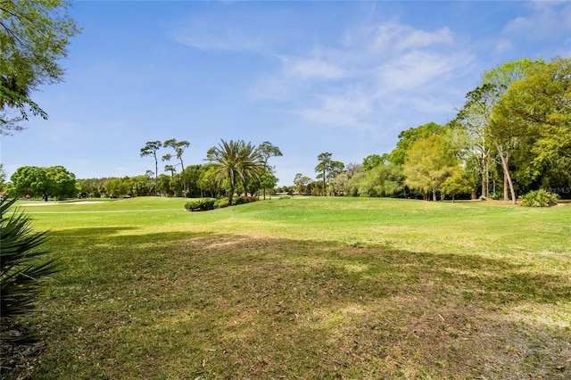 view of yard