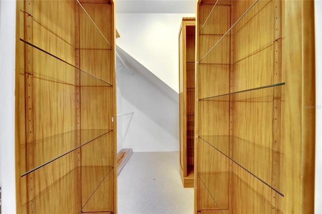 walk in closet with carpet floors