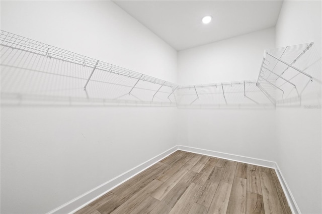 spacious closet with wood-type flooring