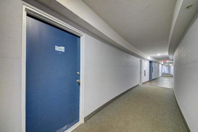 3315 58th Ave S Unit 306, Saint Petersburg, FL 33712 - photo 19