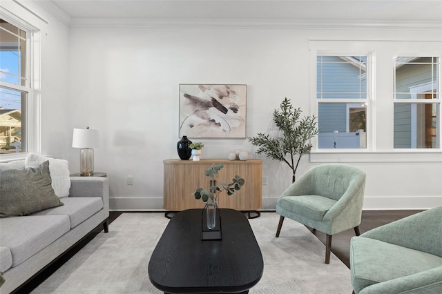 living room featuring crown molding and wood-type flooring