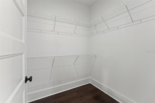 spacious closet with hardwood / wood-style floors