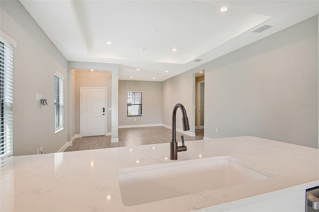 kitchen featuring light wood-type flooring, a wealth of natural light, a raised ceiling, and sink